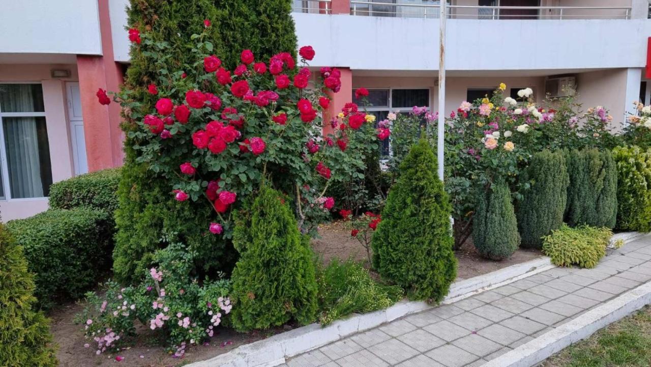 קרנבו Бутикови Студиа Брита מראה חיצוני תמונה
