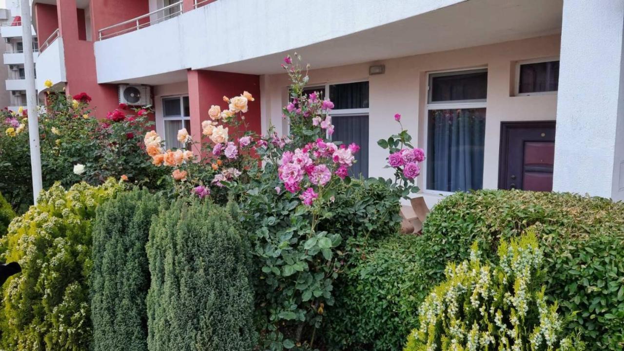 קרנבו Бутикови Студиа Брита מראה חיצוני תמונה