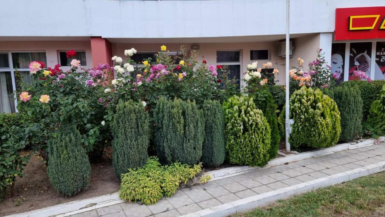 קרנבו Бутикови Студиа Брита מראה חיצוני תמונה
